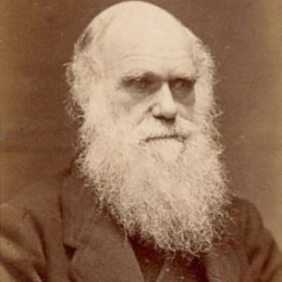 Timeline: Darwin