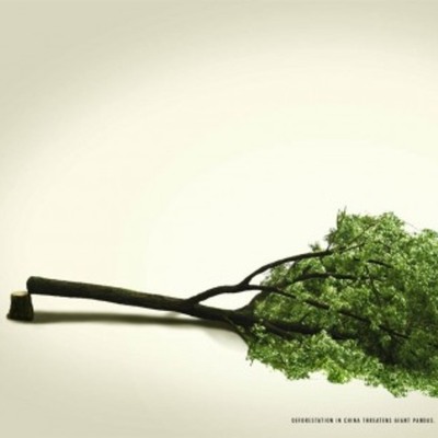 Timeline: FALL OF MAN