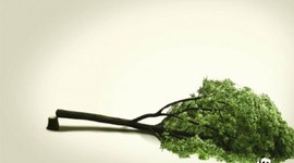 Timeline: FALL OF MAN