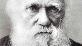 Timeline: darwin