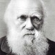 Darwin
