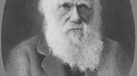 Timeline: La vida de Darwin