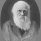 Charles darwin