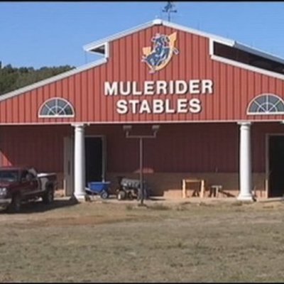 Timeline: TIMELINE: SAU horse theft investigation