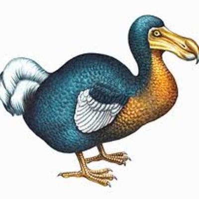 Timeline: the history of DODOTHEORY