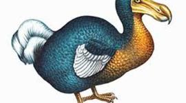 Timeline: the history of DODOTHEORY