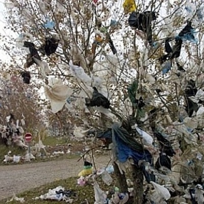 Timeline: Plastic Bags in Society