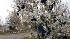 Timeline: Plastic Bags in Society
