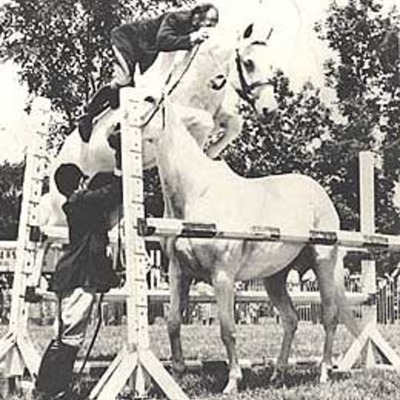 Timeline: Snowman: The Eighty Dollar Champion