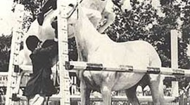 Timeline: Snowman: The Eighty Dollar Champion