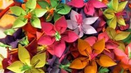 Timeline: Julie's life