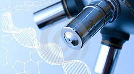 Timeline: The Discovery of DNA