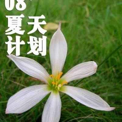 Timeline: 08 Summer Project