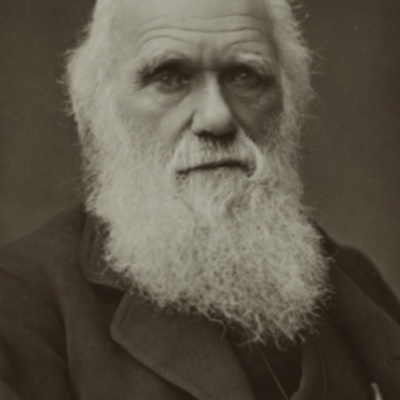 Timeline: Charles Darwin