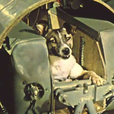 Timeline: Dogs in Space