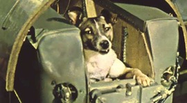 Timeline: Dogs in Space