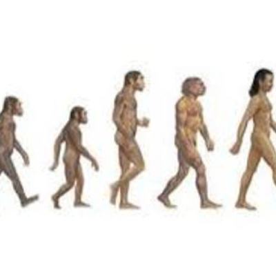 Timeline: The begining of Evolution