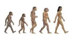 Timeline: The begining of Evolution