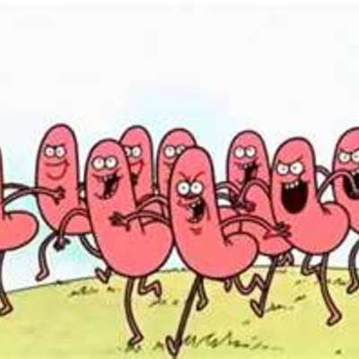 Timeline: Regular Show hot dog episode