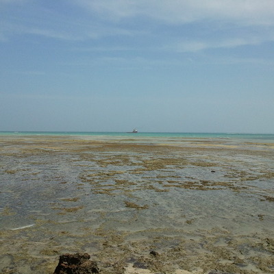 Timeline: OceanPact Tanzania - MMB/Statoil