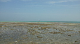 Timeline: OceanPact Tanzania - MMB/Statoil