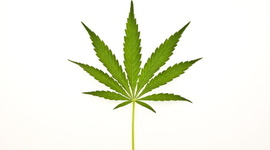 Timeline: Cannabis as medicine