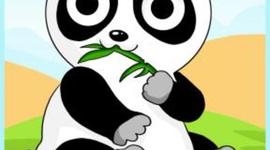 Timeline: term 1 reading