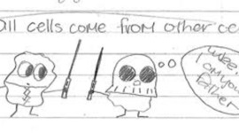 Timeline: Birth of the Cell Theory