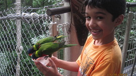 Timeline: My Life by Ahir