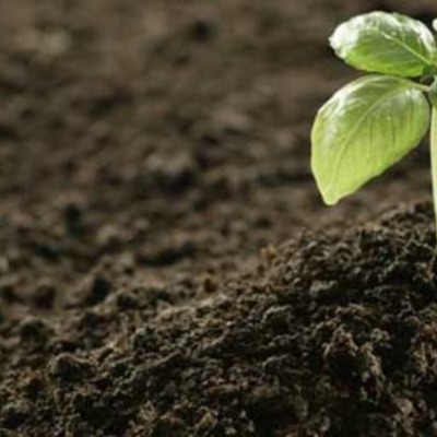 Timeline: History of Fertilizer Usage