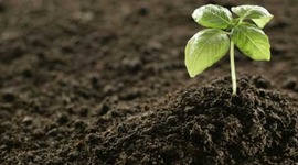 Timeline: History of Fertilizer Usage