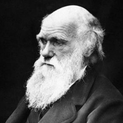 Timeline: VIDA DE DARWIN