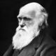 Darwin01