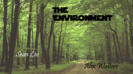 Timeline: The History of the Environment