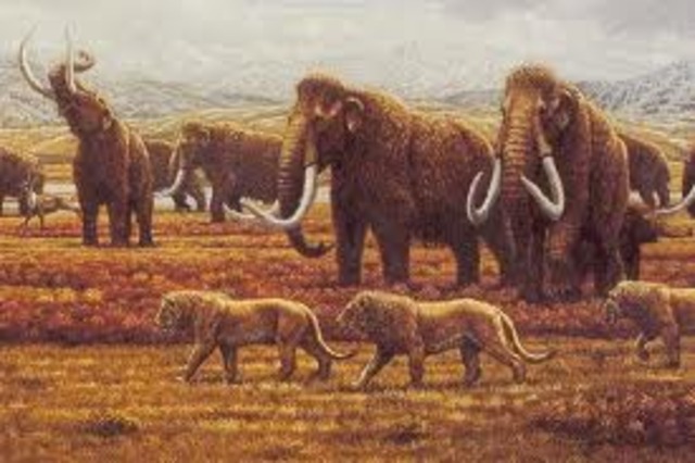 Geological Time Scale Soummers Timeline Timetoast Timelines
