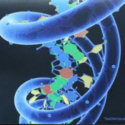 Timeline: Gentetic Testing