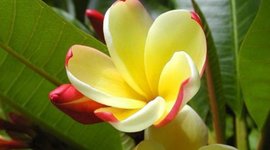 Timeline: Chelsey Turner