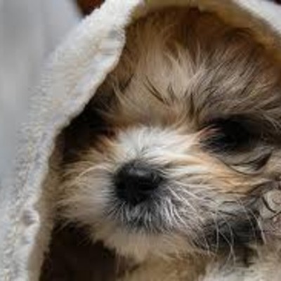 Timeline: the story of my life