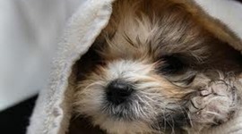 Timeline: the story of my life