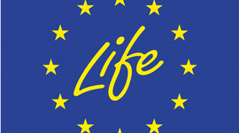 Timeline: Timeline for Careers