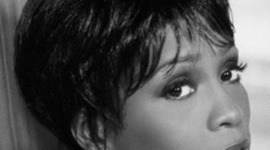 Timeline: Whitney Aitor