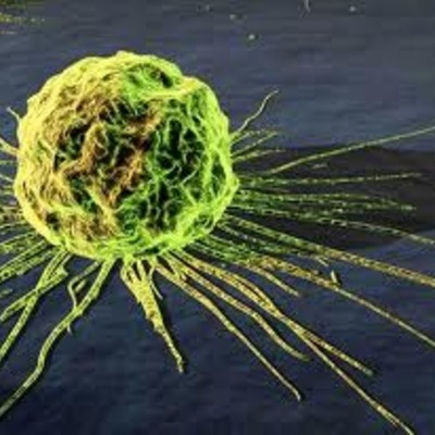 Timeline: Cancer Screenings