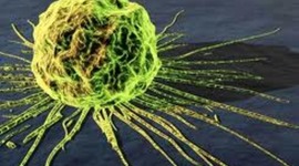 Timeline: Cancer Screenings