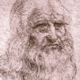 Vinci