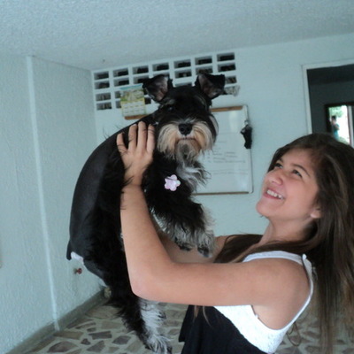 Timeline: El pequeño regalo