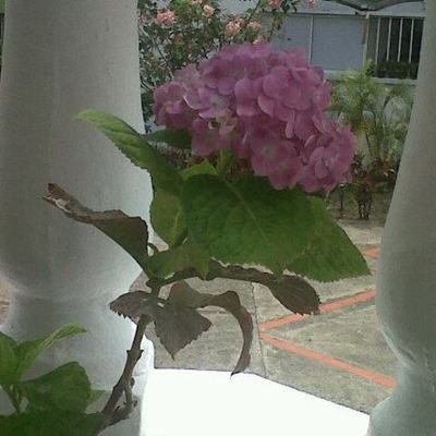 Timeline: mi prima línea de tiempo