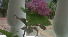 Timeline: mi prima línea de tiempo