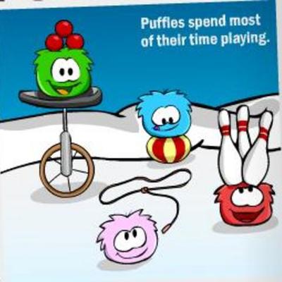 Timeline: NZ tourism sw & zn