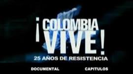Timeline: 25 Años de Resistencia