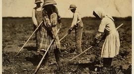 Timeline: Alejandro G | Cajas de cartón y Senderos fronterizos